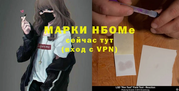 дмт Нягань